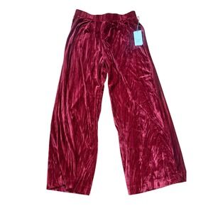 ✨ 2 for $30 Sale! A New Day Red Velvet Wide-Leg Pants – NWT – Size Small